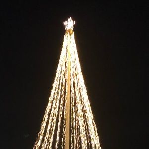 Meet your Posher, Sophia